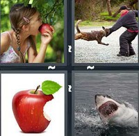 4 Pics 1 Word Levels Bite