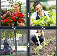 4 Pics 1 Word Levels Gardener