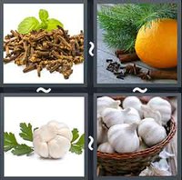 4 Pics 1 Word Levels Cloves