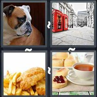 4 Pics 1 Word Levels English
