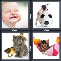 4 Pics 1 Word Cute