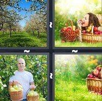 4 Pics 1 Word Levels Orchard
