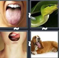 4 Pics 1 Word Tongue