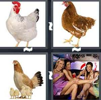4 Pics 1 Word Levels Hen