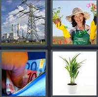 4 Pics 1 Word Plant