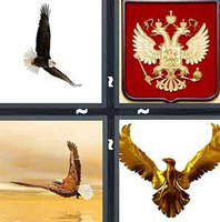 4 Pics 1 Word Eagle