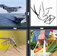 4 Pics 1 Word Levels Carrier