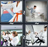 4 Pics 1 Word Levels Karate