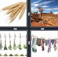 4 Pics 1 Word Levels Dry