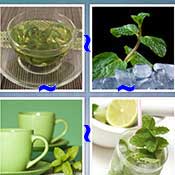Whats the Word Mint