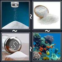 4 Pics 1 Word Salt