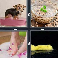 4 Pics 1 Word Levels Soak