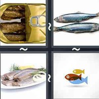 4 Pics 1 Word Herring