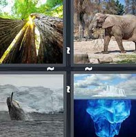 4 Pics 1 Word Levels Huge