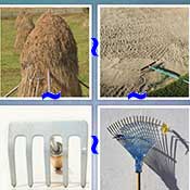 Whats the Word Rake