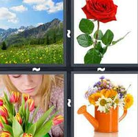 4 Pics 1 Word Levels Flower