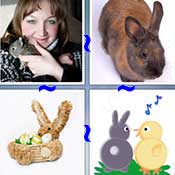 Whats the Word Rabbit