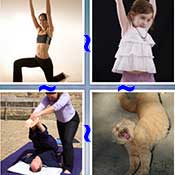Whats the Word Stretch