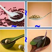 Whats the Word Spoon