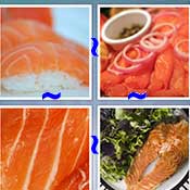 Whats the Word Salmon
