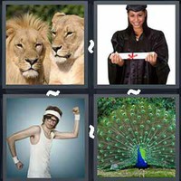 4 Pics 1 Word Levels Pride