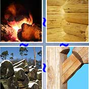 Whats the Word Log