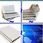 Whats the Word Page