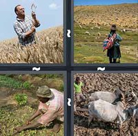 4 Pics 1 Word Farmer