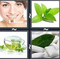 4 Pics 1 Word Mint