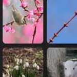What's that Word Spring