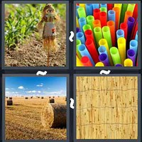 4 Pics 1 Word Straw