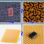 Whats the Word Circuit