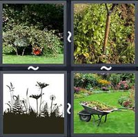 4 Pics 1 Word Weeds