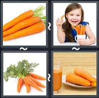 4 Pics 1 Word Levels Carrot