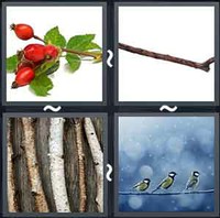 4 Pics 1 Word Twig