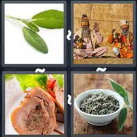 4 Pics 1 Word Sage