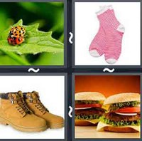 4 Pics 1 Word Pair