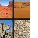 What's that Word Desert