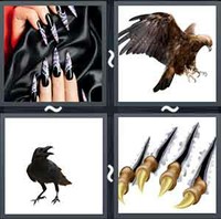 4 Pics 1 Word Levels Talon