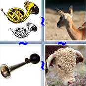 Whats the Word Horn