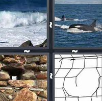 4 Pics 1 Word Breach