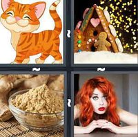 4 Pics 1 Word Levels Ginger