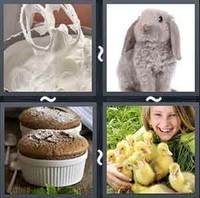 4 Pics 1 Word Levels Fluffy