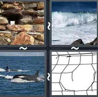 4 Pics 1 Word Breach
