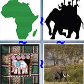 Whats the Word Elephant
