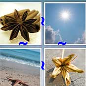 Whats the Word Star