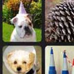 What's that Word Cone