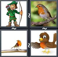 4 Pics 1 Word Levels Robin