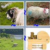 Whats the Word Sheep