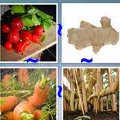 Whats the Word Root